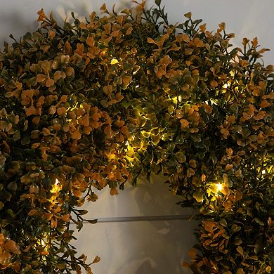 Nearly Natural 18-Inch Pre-Lit Artificial Boxwood Fall Wreath with LED Lights