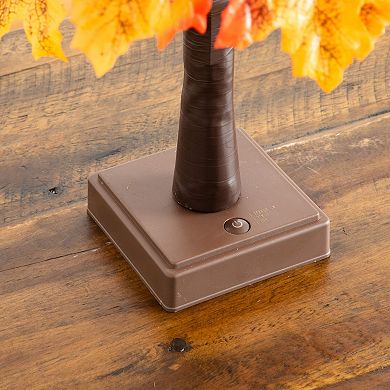 nearly natural 2-ft. Pre-Lit Artificial Autumn Maple Tree Floor Decor with Acorns & Pinecones