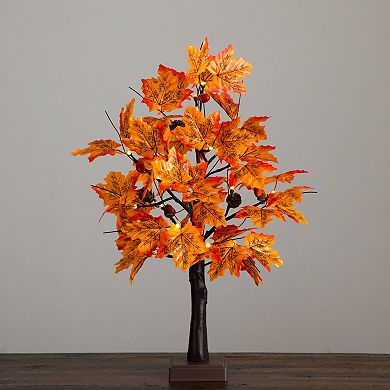 nearly natural 2-ft. Pre-Lit Artificial Autumn Maple Tree Floor Decor with Acorns & Pinecones