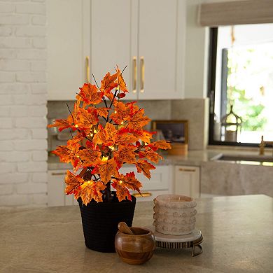 nearly natural 2-ft. Pre-Lit Artificial Autumn Maple Tree Floor Decor with Acorns & Pinecones