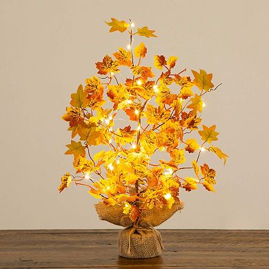 nearly natural 18-Inch Pre-Lit Artificial Autumn Maple Tree Table Decor with LED String Lights
