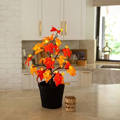 nearly natural 2-ft. Pre-Lit Artificial Autumn Maple Tree with LED & Pumpkin Lights
