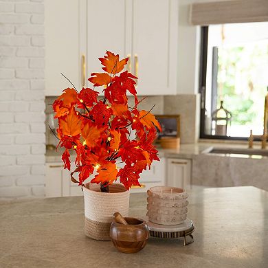 nearly natural 2-ft. Pre-Lit Artificial Dark Orange Autumn Maple Tree with 24 LED Lights