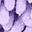 Orangeleaf Purpleleaf