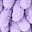Purpleleaf Purpleleaf