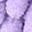 Green Purple Leaf