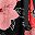 Red Bold Blossom