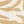 Ivory Abstract Zebra