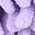 Blueorange Purpleleaf