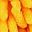 Blueyellow Orangeleaf