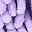 Brownyellow Purpleleaf