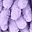 Green Purple Leaf