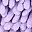 Grey Purple Leaf