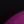 Purple Black