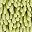 Green Leaf Solid Grey
