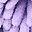 Purple Leaf Green Leaf