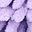 Purpleleaf Orangeleaf