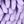 Brown Purple Leaf