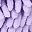 Brown Purple Leaf