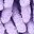 Grey Purple Leaf