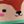 Critter