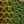 Rainbow Green