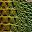 Rainbow Green