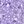 Purple Lily Ivory