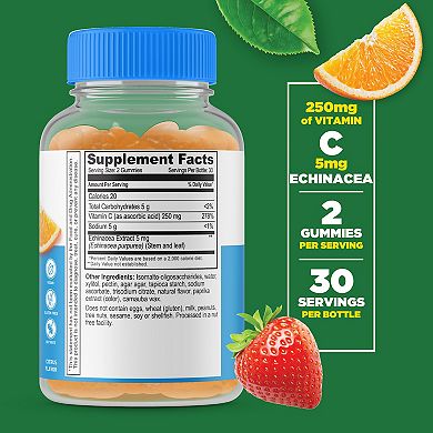 Lifeable® Sugar Free Vitamin C 250 mg Gummies - Immune System - 60 Gummies