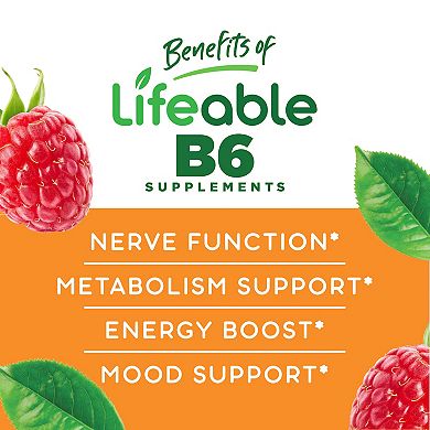 Lifeable® Vitamin B6 100 mg Gummies - Nerve Function And Metabolism - 60 Gummies