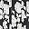 Black White Floral