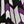Purple Multi
