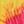Tie Dye Sun