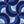 Navy Provinte