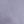 Silver Violet