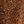 Brown Black Cream