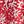 Red Ivory Coral