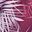 Red Palm