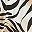 Moving Zebra