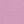 Rose Purple