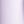 Lilac Purple