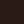 Swiss Brown