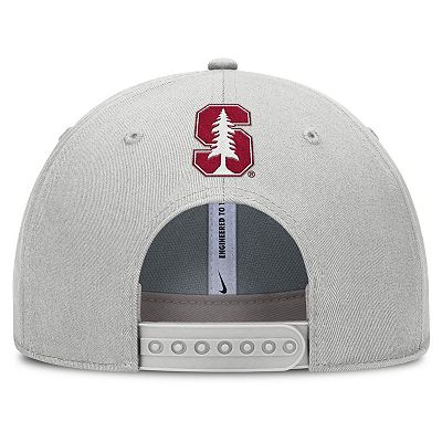 Men's Nike Gray Stanford Cardinal 2025 Sideline Dust Pinched Rise