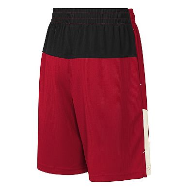 Youth Scarlet San Francisco 49ers Fandemonium Mesh Shorts