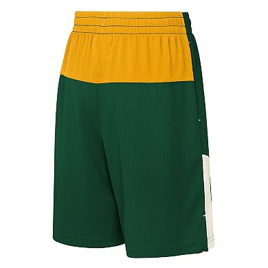 Youth Green Green Bay Packers Fandemonium Mesh Shorts