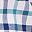 White Navy