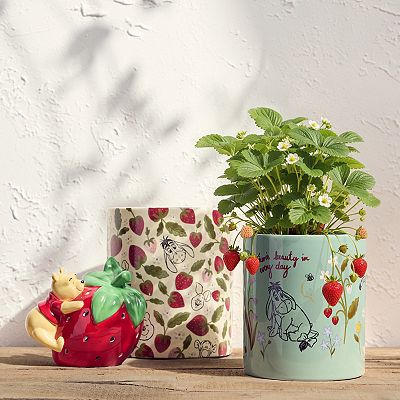 plant pot window Window Box Style Flower Container by H Potter