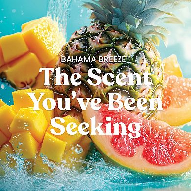 Yankee Candle® Bahama Breeze 22-oz. Large Jar Candle