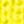 Neon Yellow