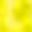 Neon Yellow